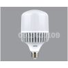 Bóng Ledbuld MPE 30W