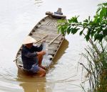 Mùa Cá về đồng