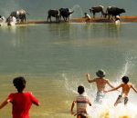 Những ngày thơ dại
