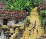 Về Quê