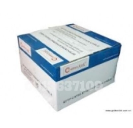 CÁP MẠNG GOLDENLINK