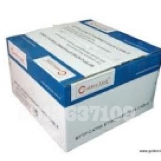 CÁP MẠNG GOLDENLINK