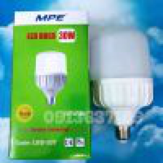 Bóng Ledbuld MPE 30W